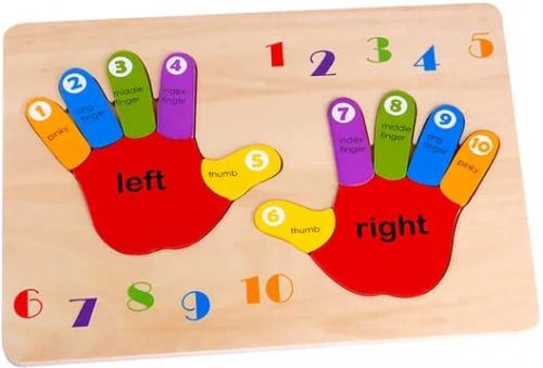 Hand Puzzle (TKG030)