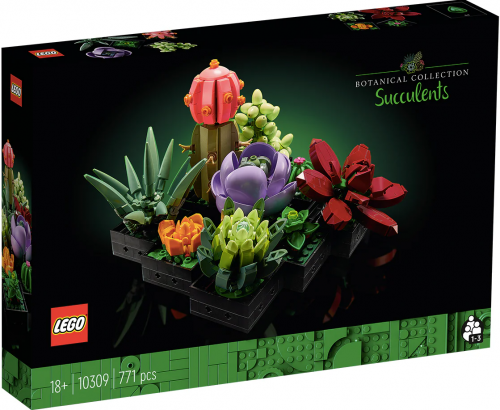 10309 - Succulents