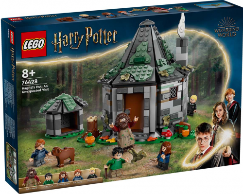 76428 - Hagrid's Hut: An Unexpected Visit
