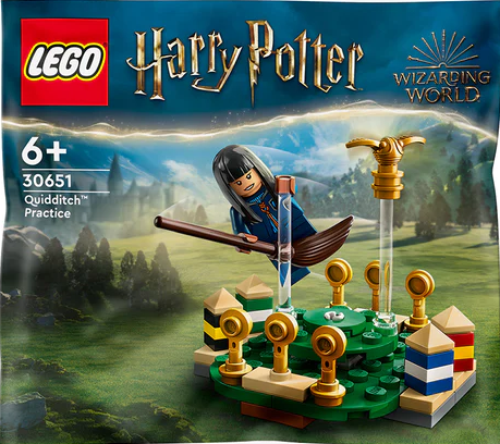 30651 - Quidditch Practice Polybag