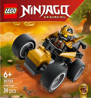 30723 - Ninja Cole's Car Recruitment Polybag