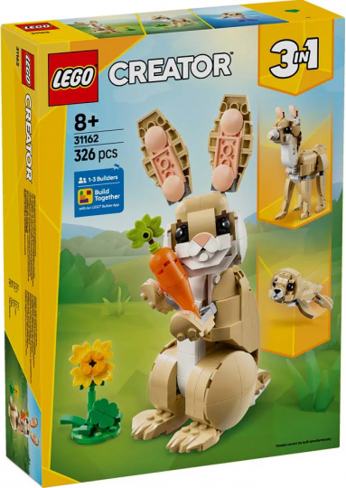 31162 - Cute Bunny