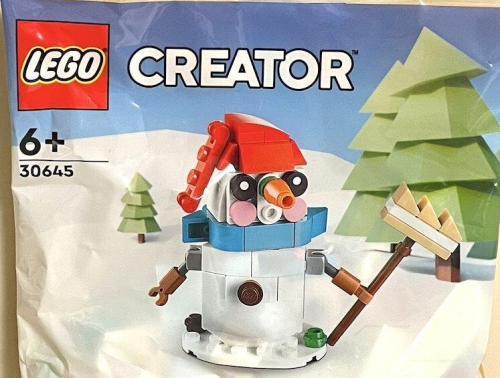 30645 - Snowman Polybag